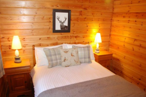 Cosy Rowan woodland lodge no3